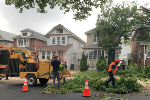 Residential Tree Services